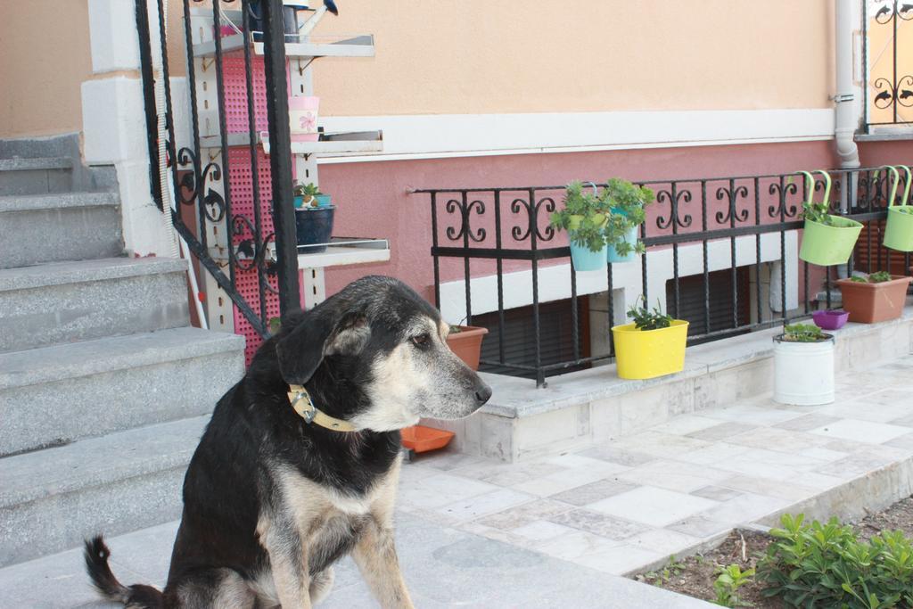 Ede Apart Otel Geyikli Buitenkant foto